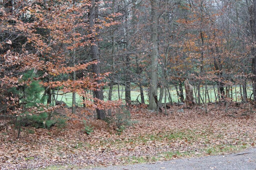 Ferienhaus Luxury 4 Bedroom House In Pocono Mountains In Golf Course Near Tobyhanna